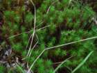 dscf7242_small.jpg