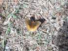 dscf7259_small.jpg