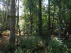dscf7281_small.jpg