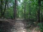dscf7290_small.jpg