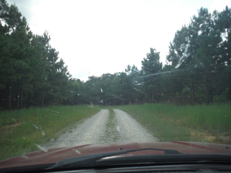 dscf7300.jpg