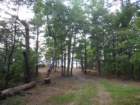 dscf7306_small.jpg