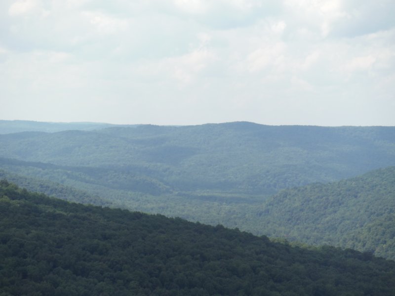 dscf7318.jpg