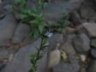 img_3380_small.jpg