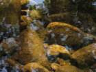 img_3533_small.jpg