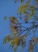 img_4730_small.jpg
