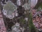 img_8162_small.jpg