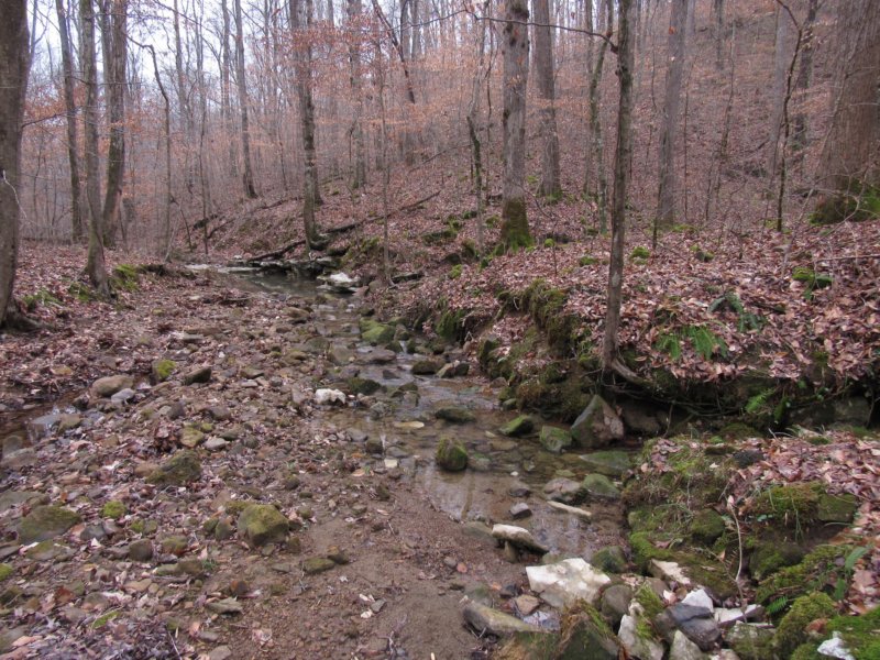 img_8190.jpg