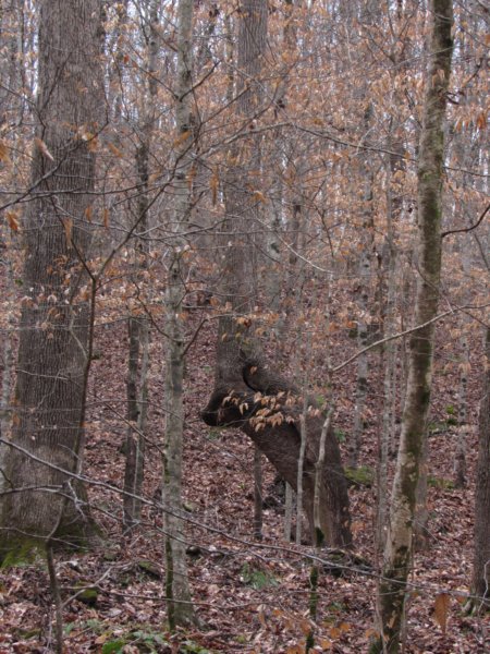 img_8213.jpg