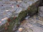 img_8220_small.jpg