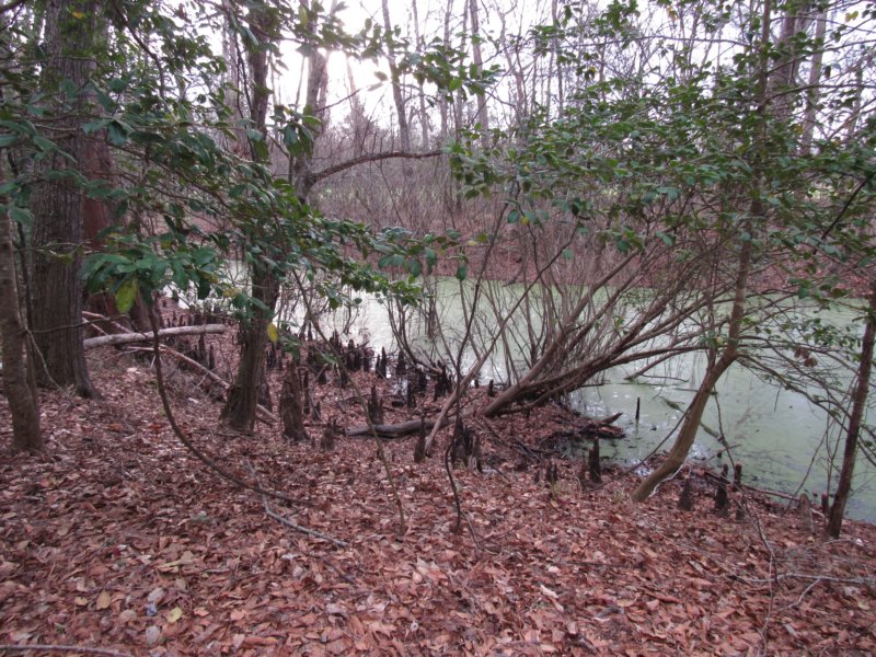 img_8960.jpg