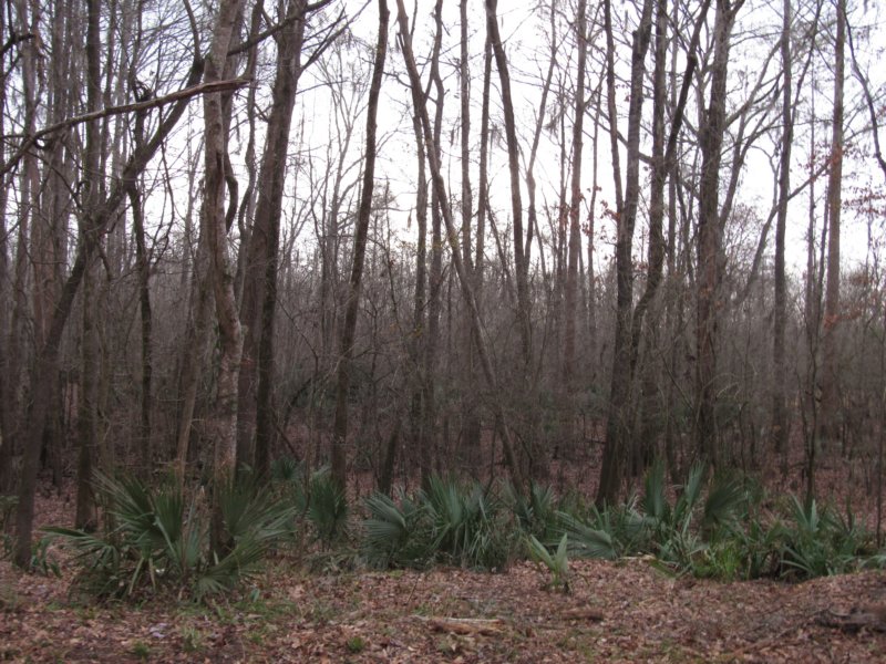 img_8972.jpg