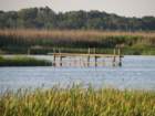 img_1337_small.jpg