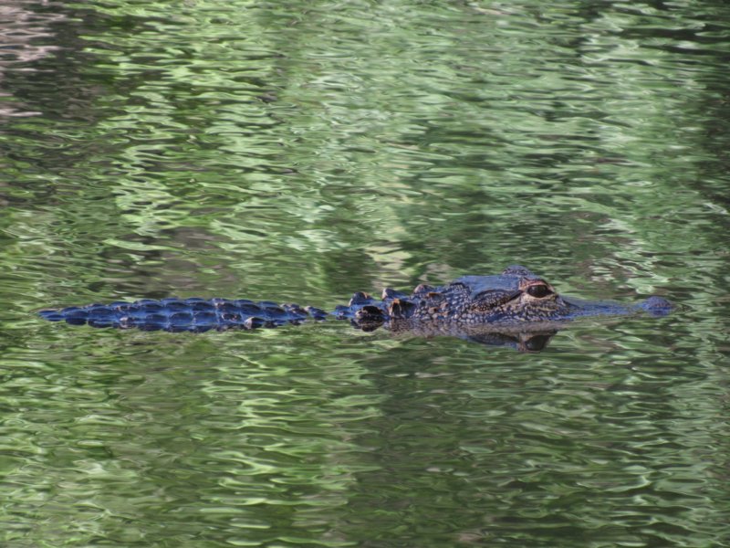 img_0084.jpg