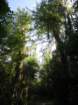 img_0148_small.jpg