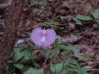 img_0350_small.jpg