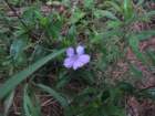 img_0554_small.jpg