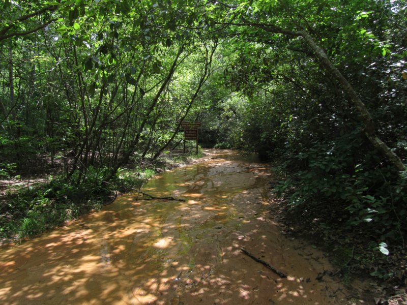 soapstonecreek.jpg