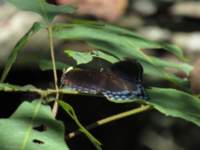 img_2713_small.jpg