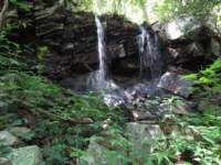 img_2731_small.jpg