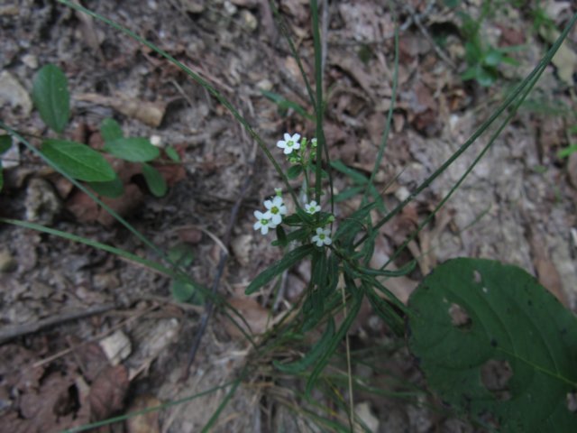img_4054.jpg