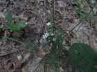 img_4054_small.jpg