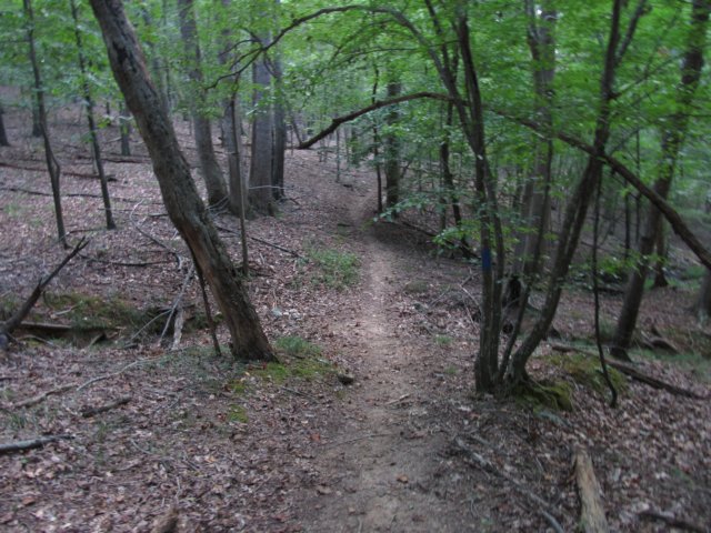 img_4061.jpg