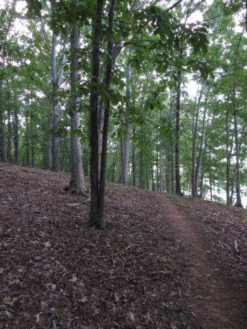 img_4065.jpg