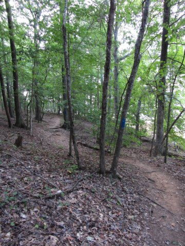 img_4075.jpg