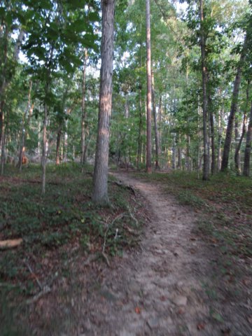 img_4157.jpg