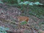 img_4210_small.jpg