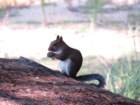 img_4294_small.jpg