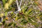 img_3624_small.jpg