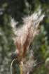 img_3939_small.jpg