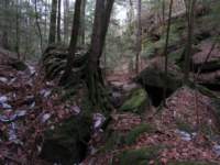 img_7007_small.jpg