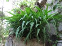 img_9438_small.jpg