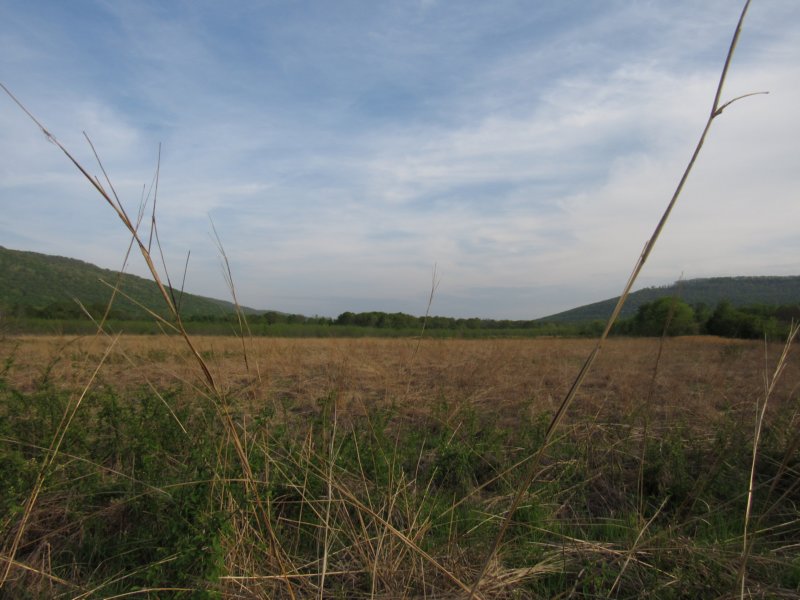 img_9550.jpg