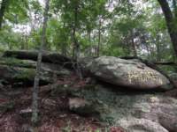 img_1124_small.jpg