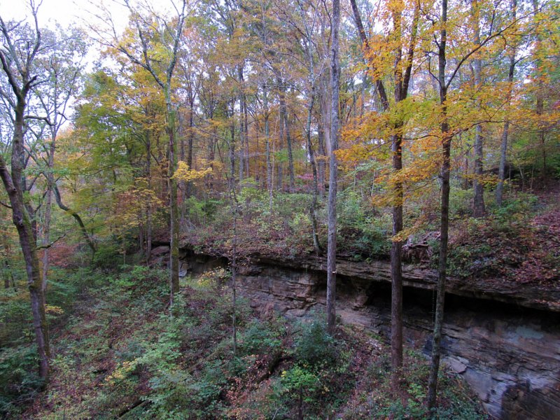 img_5248e.jpg