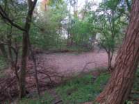fallsohioimg_5577_small.jpg