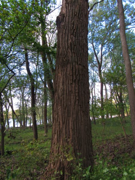 fallsohioimg_5583.jpg