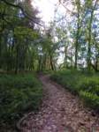 fallsohioimg_5605_small.jpg