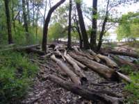 fallsohioimg_5606_small.jpg