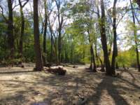 fallsohioimg_5618_small.jpg